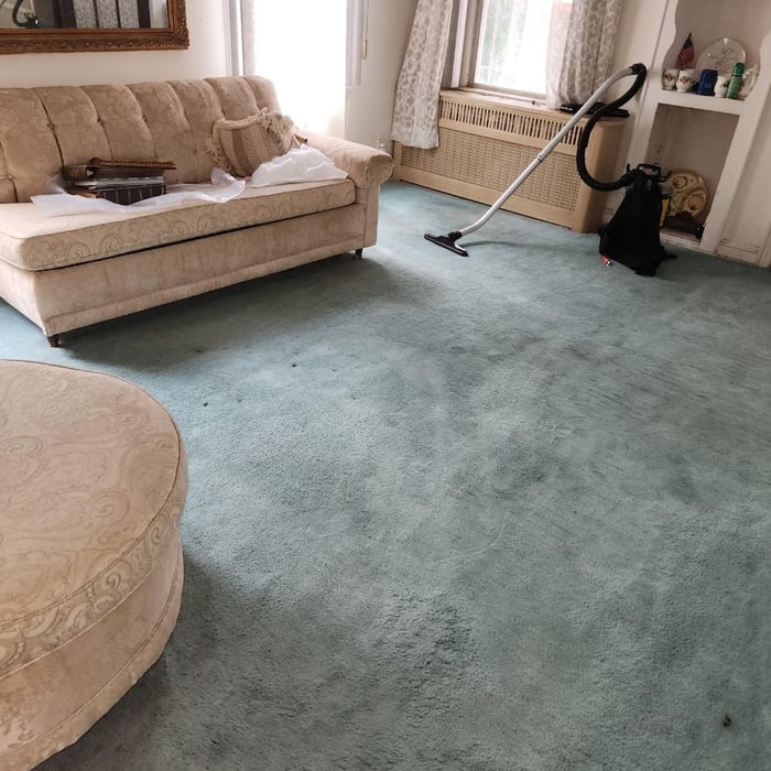 Carpet extraction