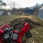 Stump grinder service
