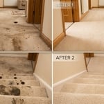 carpet cleaning