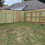 Treated Pine Privacy