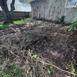 Junk removal in Clinton