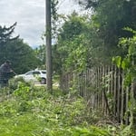 clearing of undergrowth