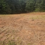 Property clearing
