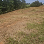 Property clearing