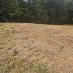 Property clearing
