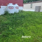 Mow and weed whack