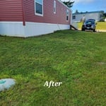 Mow and weed whack