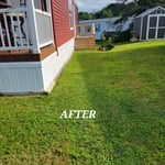 Mow and weed whack