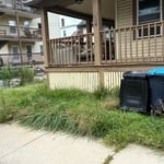 Yard clean up