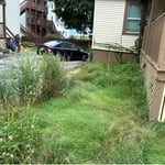Yard clean up