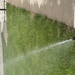 Sprinkler service
