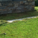 Lawn mowing