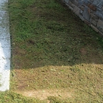 Lawn mowing