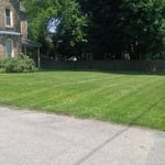 Mowing