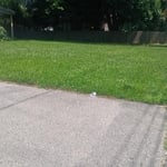 Mowing