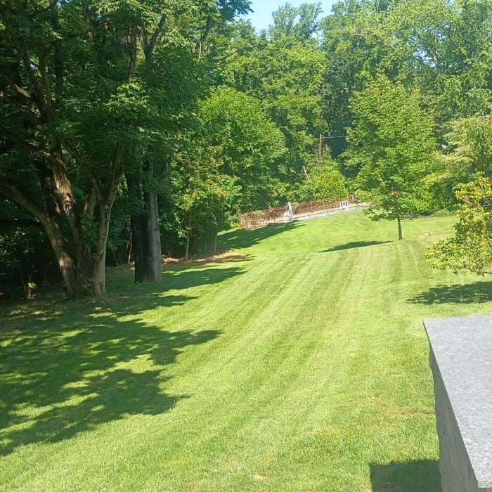 Mowing