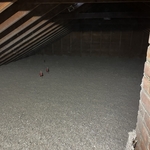 House (Insulation)