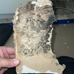 Mold Remediation