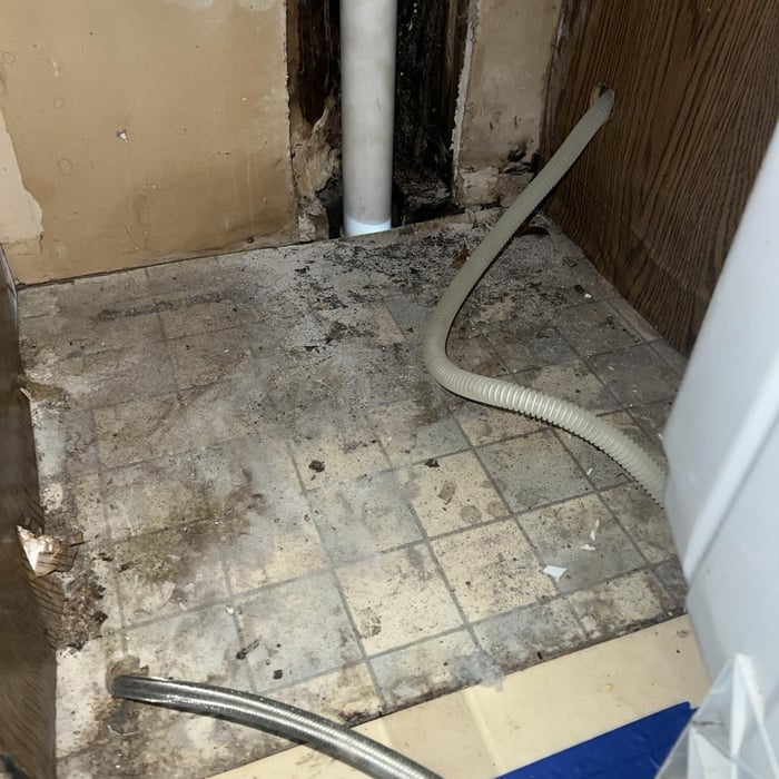 Mold Remediation