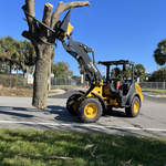 Tree Removal