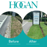 Hogan Tree Removal