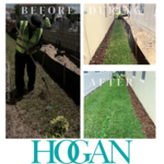 Hogan Tree Removal