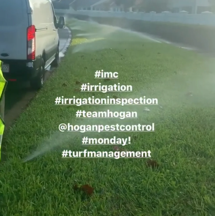 Hogan Tree Removal