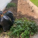 lawn Care+