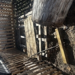 Yard clean out