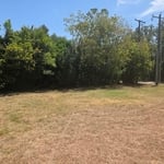 Grass before