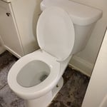 New toilet install