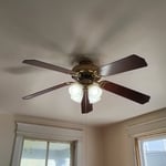 The can was removed and replaced with a dome fixture