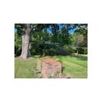 Front yard restoration