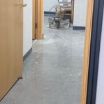 Spring-Clean