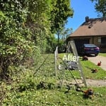 Cleaning up fence line