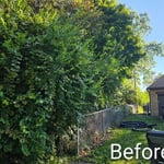 Cleaning up fence line