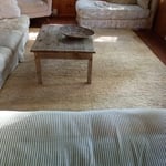 carpet