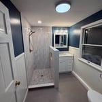 Full bathroom remove