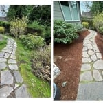 Additional photos