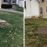 Stump the project