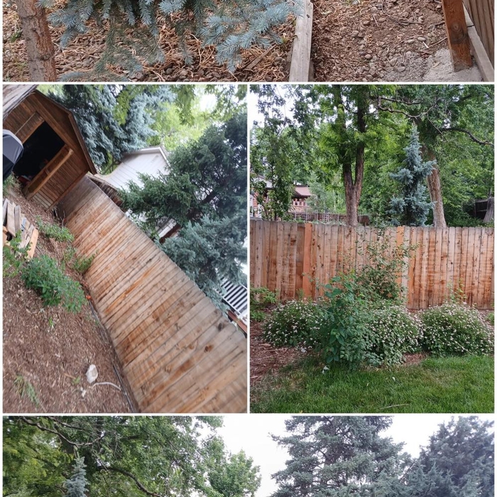 Cedar Fence Repair