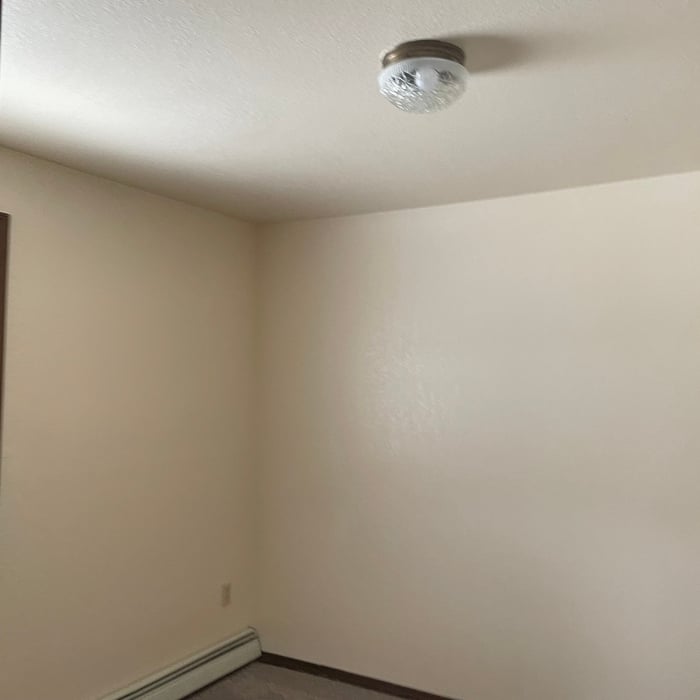 Move out Clean