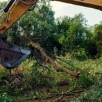 Land Clearing