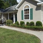 Hedge trimming