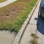 Neighbor lawn