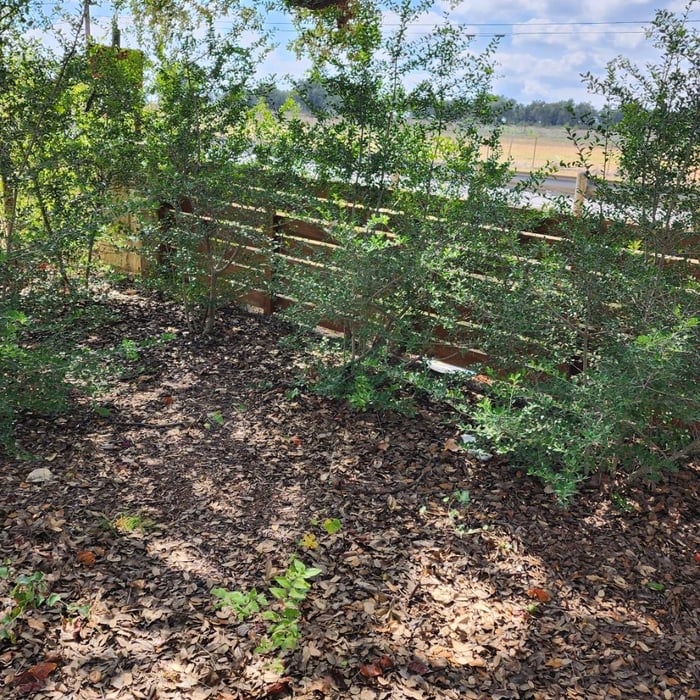 Property line