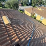 Roof cleaning
