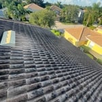 Roof cleaning