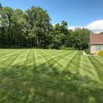 Weekly Lawn Maintenance