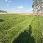 Weekly Lawn Maintenance